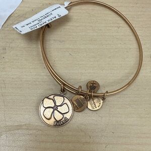 Alex and Ani Gold Charm Bangle